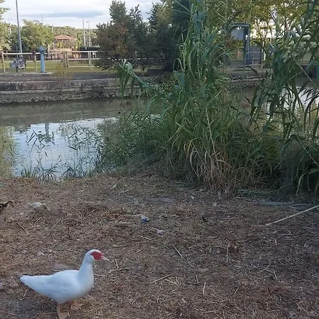 Precioso Piso-apartamento En Barrio De Zaragoza