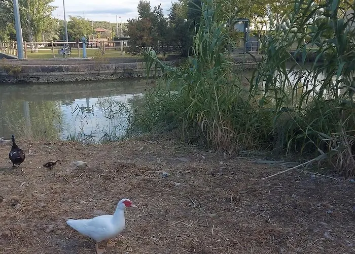 Precioso Piso-apartamento En Barrio De Zaragoza